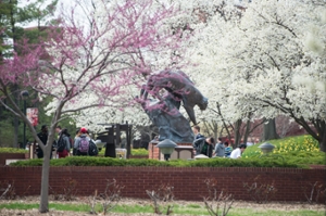 SIUE Campus