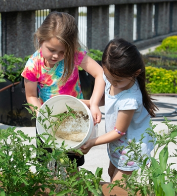 ECC students Maddie and Hazel water tomatoes they helped plant on the rooftop garden at SIUE.