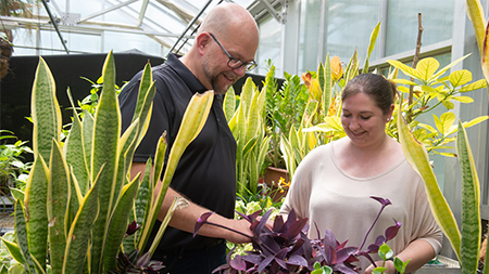 SIUE Greenhouse