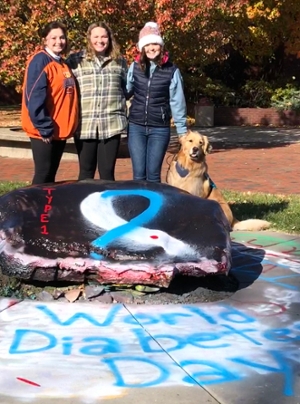Members of the SIUE Chapter of the College Diabetes Network gather around the rock on campus, which they painted for World Diabetes Day.