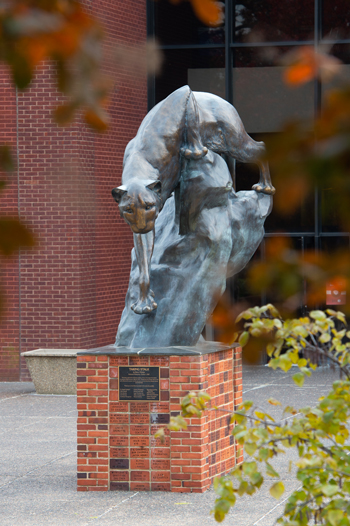 The Cougar statue on SIUE’s campus. 