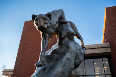 The cougar statue on Edwardsville's campus.