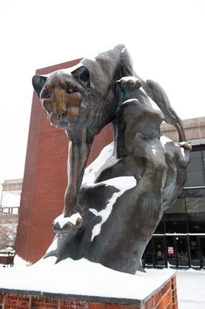 The cougar statue on Edwardsville’s campus. 